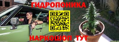 эйфоретик Бузулук