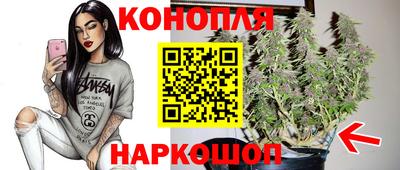 герыч Будённовск
